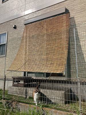 エアコン業者の家に称賛の声　窓に掛かっているのは…「勉強になります」