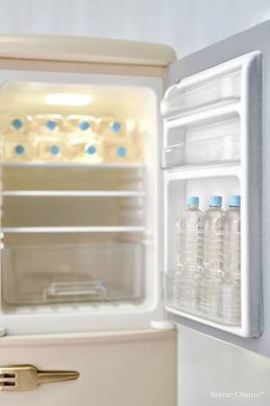 冷蔵庫の写真、実はこれ…　正体に「わぁ～！すごい！」「最高の逸品」