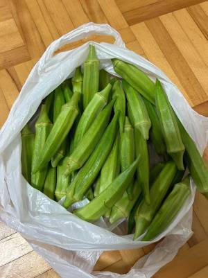 スーパーでオクラを買った５時間後？　起きた出来事に「もう少し早ければ…」
