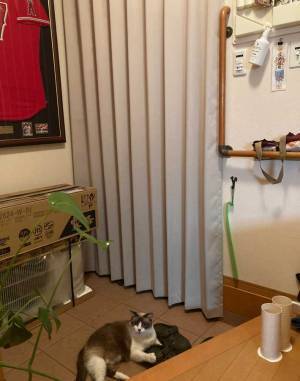 「１日１５０円しかかかりません」　エアコン業者が公開した１枚に「みんなもやって」「勉強になる」