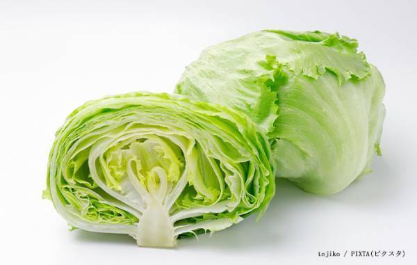 産地に聞いた！　シナシナになったレタスの復活方法