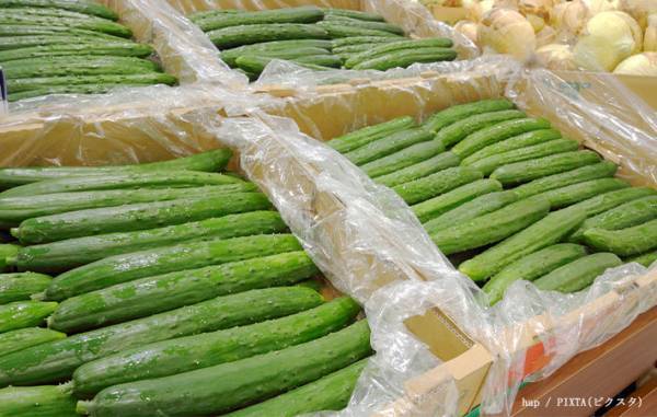 新鮮なキュウリ、どこを見るべき？　JAの回答に「知らなかった」