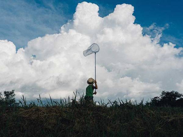 あの頃に戻りたい…　大人を涙ぐませる『夏休みの４枚』