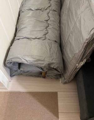 飼い主「どこいった」　見つけた愛犬の姿に「笑った」「お構いなしだな」