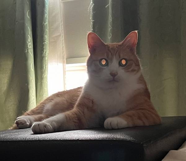 視線を感じて、顔を向けると？　表情に「え、神様？」「宇宙と交信してる？」