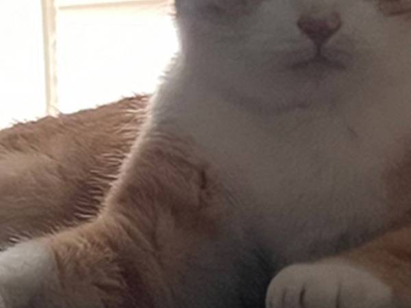 視線を感じて、顔を向けると？　表情に「え、神様？」「宇宙と交信してる？」