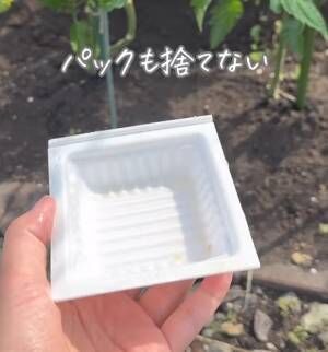 きれいになったパックはプラスチックゴミへ