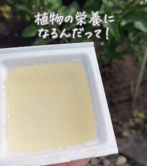 食べ終わった納豆パック　エコな活用法に「欠かさずやる」