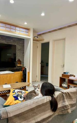 １匹の猫をかわいがっていると？　熱い視線の先に…「怖っ！」「圧がすごい」