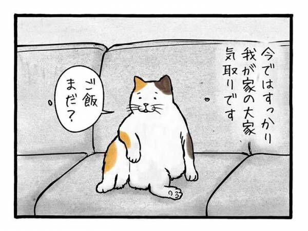 工務店の日報漫画画像