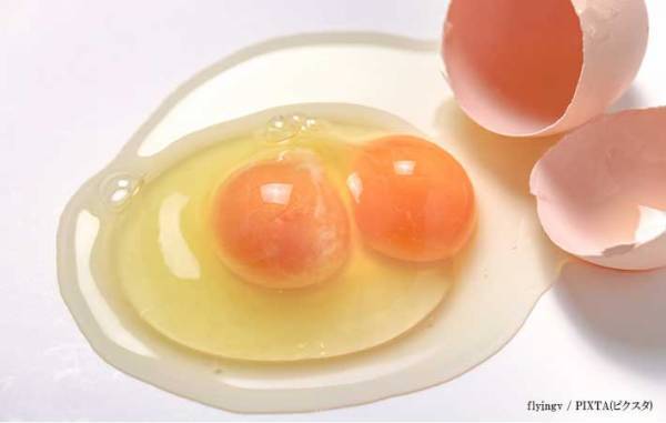 卵から黄身が２個！　安全に食べられる？　協会の回答に「そうだったのか」
