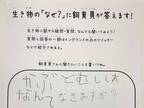 ５歳児「カブトムシはなんて鳴くの？」　飼育員の『回答』に「初めて知った！」