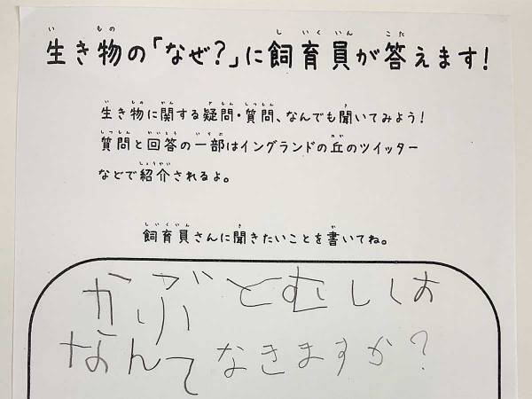 ５歳児「カブトムシはなんて鳴くの？」　飼育員の『回答』に「初めて知った！」