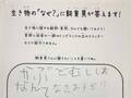 ５歳児「カブトムシはなんて鳴くの？」　飼育員の『回答』に「初めて知った！」