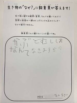 ５歳児「カブトムシはなんて鳴くの？」　飼育員の『回答』に「初めて知った！」