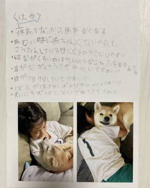 小２息子の『自由研究』に絶賛の声　「特別賞をあげたい」「涙が出た」