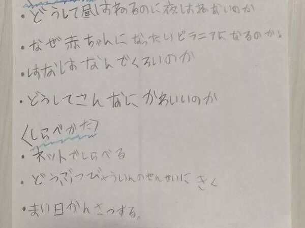 小２息子の『自由研究』に絶賛の声　「特別賞をあげたい」「涙が出た」