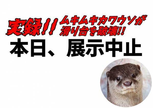 水族館「展示を中止いたします」　そのワケに「爆笑した」「声に出して読みたい」