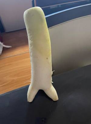 「お供え物の大根でも見るか」　お寺での１枚に「めっちゃ笑った」