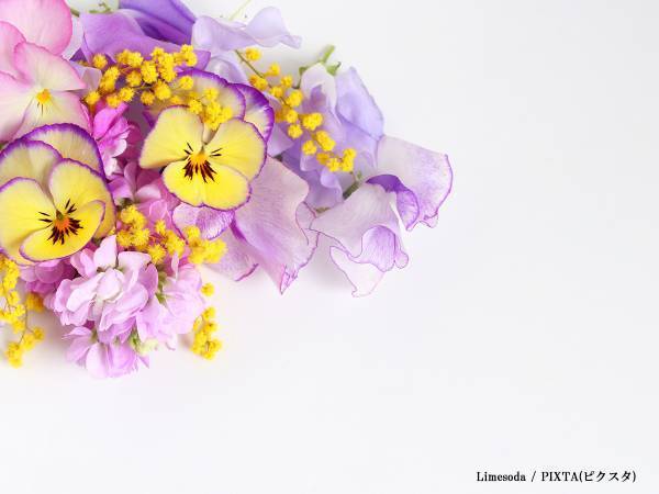 完結の『ヒロアカ』原作者からコメント　「全然終わった気がしないです」