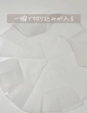 全体的に切れ目が入った様子