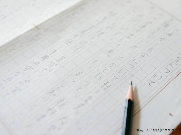 小３男子の『夏休みの自由研究』が話題　６万人が称賛した締めの１文がこちら