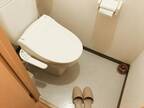 トイレスリッパは使うべき？　企業の解説に「納得」「早速買う」