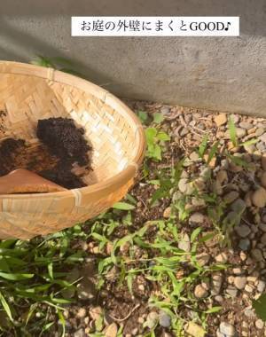 コーヒーかす、毎回捨ててるなら…　アレに変身させる方法に「目から鱗」