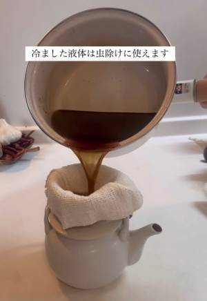 コーヒーかす、毎回捨ててるなら…　アレに変身させる方法に「目から鱗」