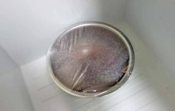 材料２つを混ぜて冷凍庫へ　３時間後…「子供がペロリ」「定番になる」