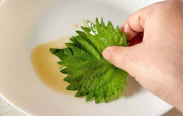 大葉をレンチンして？　苦手な子供が「ご飯と食べたい～！」