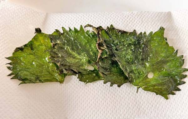 大葉をレンチンして？　苦手な子供が「ご飯と食べたい～！」