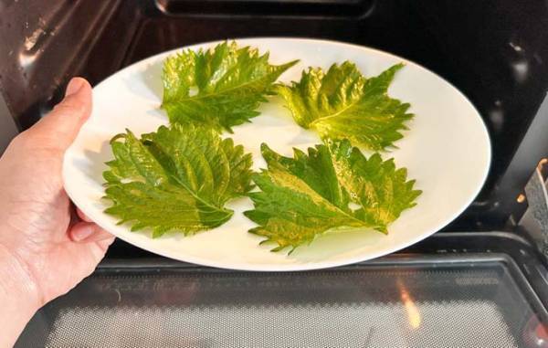 大葉をレンチンして？　苦手な子供が「ご飯と食べたい～！」