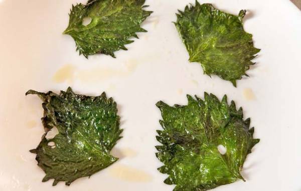 大葉をレンチンして？　苦手な子供が「ご飯と食べたい～！」