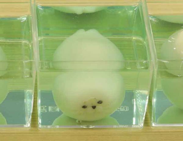 １頭だけあざとい…　和菓子の写真に「食べるのがもったいない」