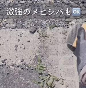 草刈りが楽しくなるかも？　ボウボウに生えた雑草を一網打尽にする便利グッズ