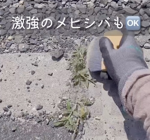 草刈りが楽しくなるかも？　ボウボウに生えた雑草を一網打尽にする便利グッズ