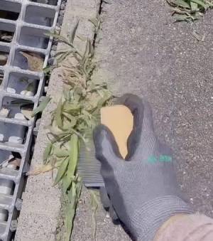 草刈りが楽しくなるかも？　ボウボウに生えた雑草を一網打尽にする便利グッズ