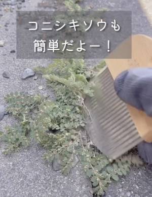 草刈りが楽しくなるかも？　ボウボウに生えた雑草を一網打尽にする便利グッズ