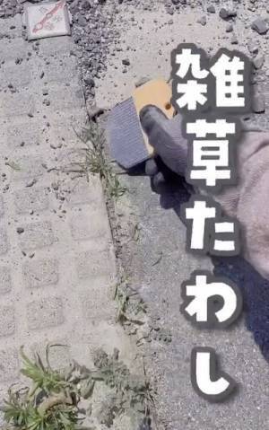 草刈りが楽しくなるかも？　ボウボウに生えた雑草を一網打尽にする便利グッズ