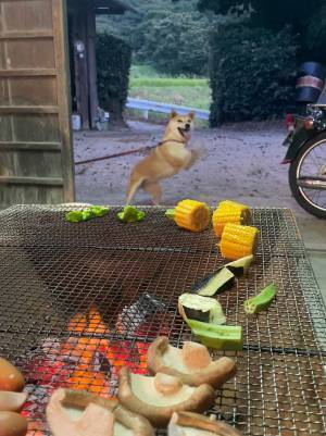 バーベキュー中の１枚に「爆笑した」　背後に写っていたのは…