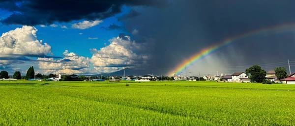 「夏の雲と虹を同時に見られます」　１７万人を釘付けにした風景がこちら