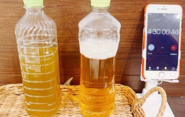 泡だらけのペットボトルのお茶、飲んでもいい？　伊藤園の情報に「そうなんだ！」