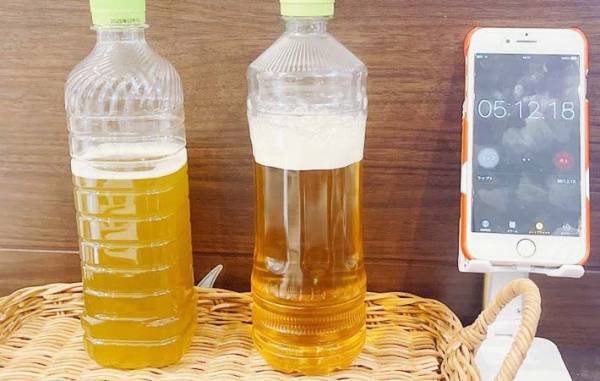 泡だらけのペットボトルのお茶、飲んでもいい？　伊藤園の情報に「そうなんだ！」