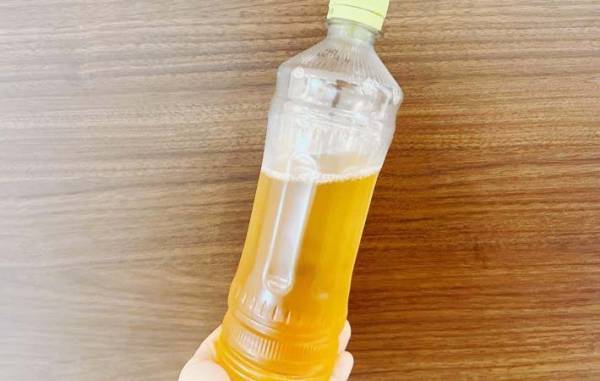 泡だらけのペットボトルのお茶、飲んでもいい？　伊藤園の情報に「そうなんだ！」