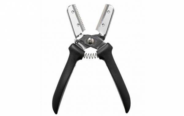 ガンコな栗の皮、上手にむくには？　栗農園に聞いてみた！