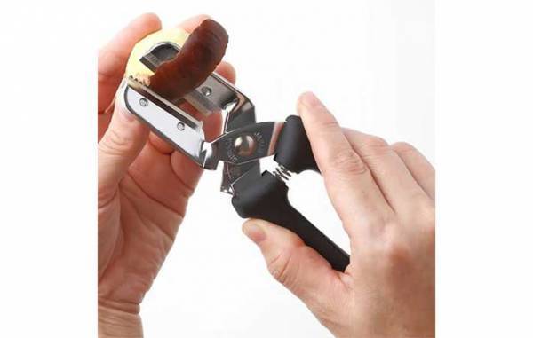 ガンコな栗の皮、上手にむくには？　栗農園に聞いてみた！