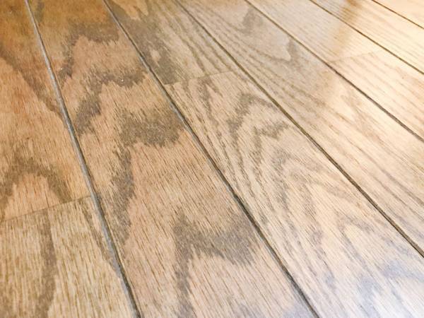 ウェットとドライの違いは…　花王が教える『シート』の違いに「驚き」「勘違いしてた」