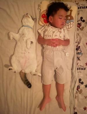 母親が寝室を訪れると…　息子の横にいた存在に「甘い」