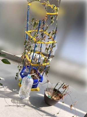 お盆を満喫して帰宅　ベランダに目を向けると？　「笑った」「悲惨」